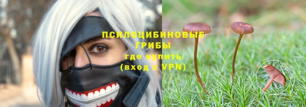 герыч Алексин