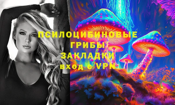 герыч Алексин