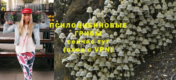 индика Алзамай