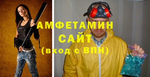 индика Алзамай
