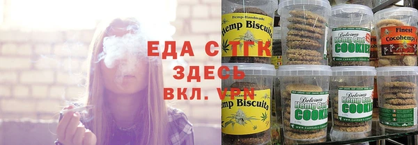 индика Алзамай
